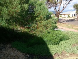 The next section - Yikes!!