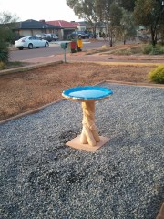 Bird Bath