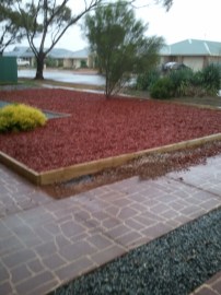 The Wet Driveway and front garden
