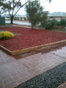 The Wet Driveway and front garden