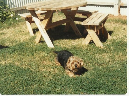 Scruffy - because she really was. :o)