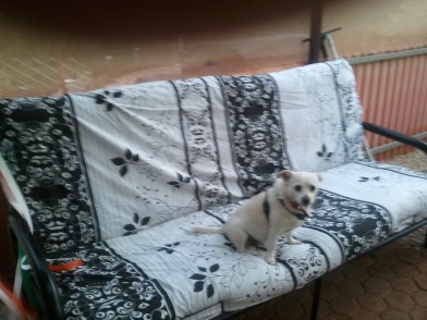 Chienna on her Futon.