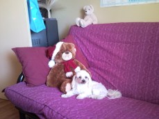 A Man and his Teddy Bear