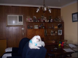 This is the "Younger" Man