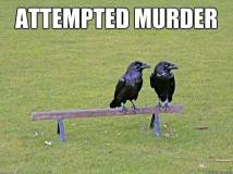 attempted murder