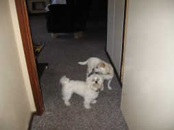 When the world was young