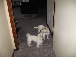 When the world was young