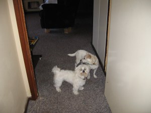 When the world was young