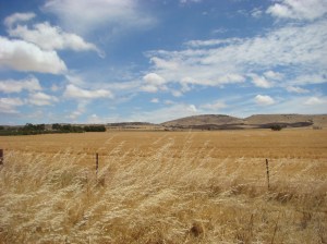 The Lower Flinders Ranges from Highway 1