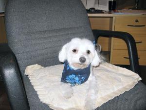 I still miss that little face