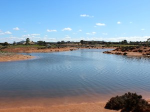 Another area of the wetlands
