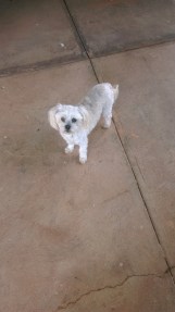 No - it's not The Man , it's a Girl - close though..