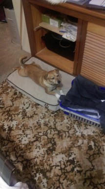 This is my Good Side