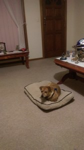 Been a long day. Need rest!