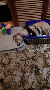 How can that be comfortable?