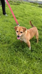 He was unknown now he is "Benji"