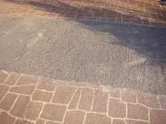 The driveway thus far.