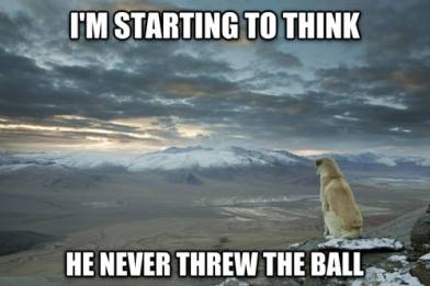 That's just mean !! :o)