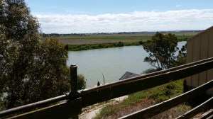 Tailem Bridge and a healthy looking River Murray