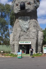 Andrew with Trish's Koala Bear