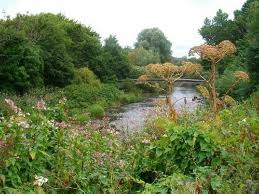 Part of  Kelvingrove Park, Glasgow, Scotland