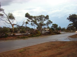 Storm Damage