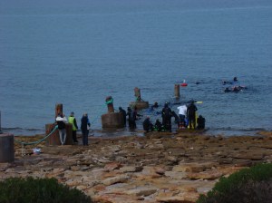 One of the Three Dives for the day.