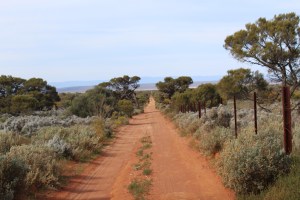 Part of the road leading out of the park.