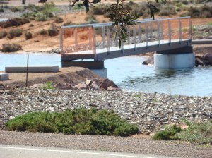 I just knew it would be elaborate.