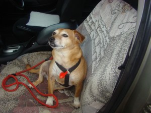 Me in my Daddy's car