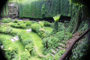 The Sinkhole Gardens