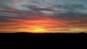 Taken from the Coach. Not too bad for a mobile (cell) phone. 