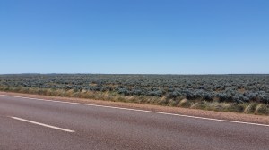 The other side is just as empty