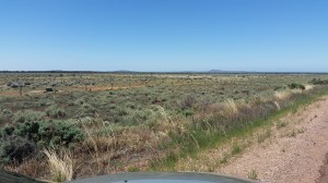 Another view - west.