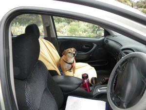 Start of a short road trip