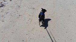 The WaWa at the Beach