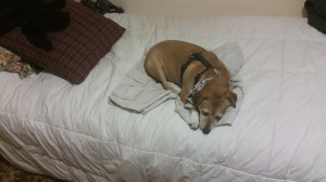 You're not going out without me.. I have your shorts!!