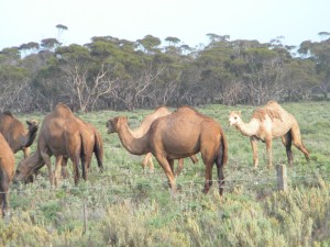 Well, Hi there Stranger!!