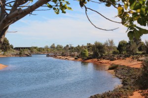 Part of the Main Pond - Wetlands